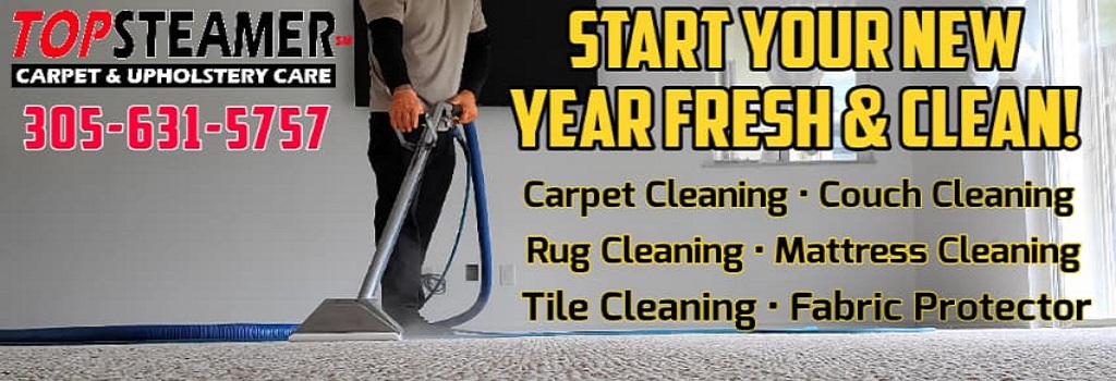 Start The New Year Fresh With Clean Carpet and Couches!