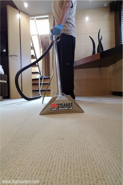 Top Steamer Carpet Cleaner Miami