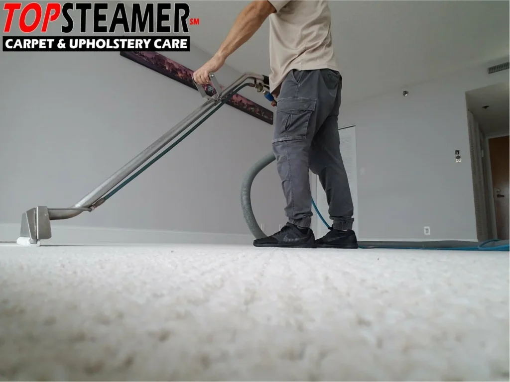 Carpet cleaning in miami