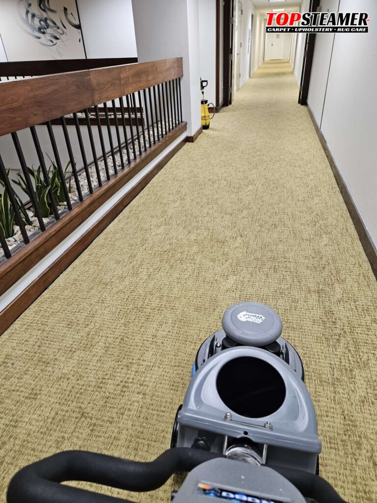 Commercial Encapsulation Carpet Cleaning in MIami