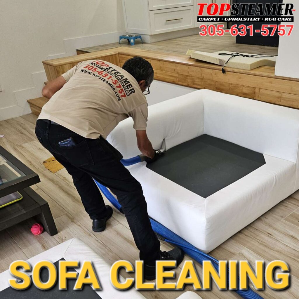 Couch Cleaning in Miami