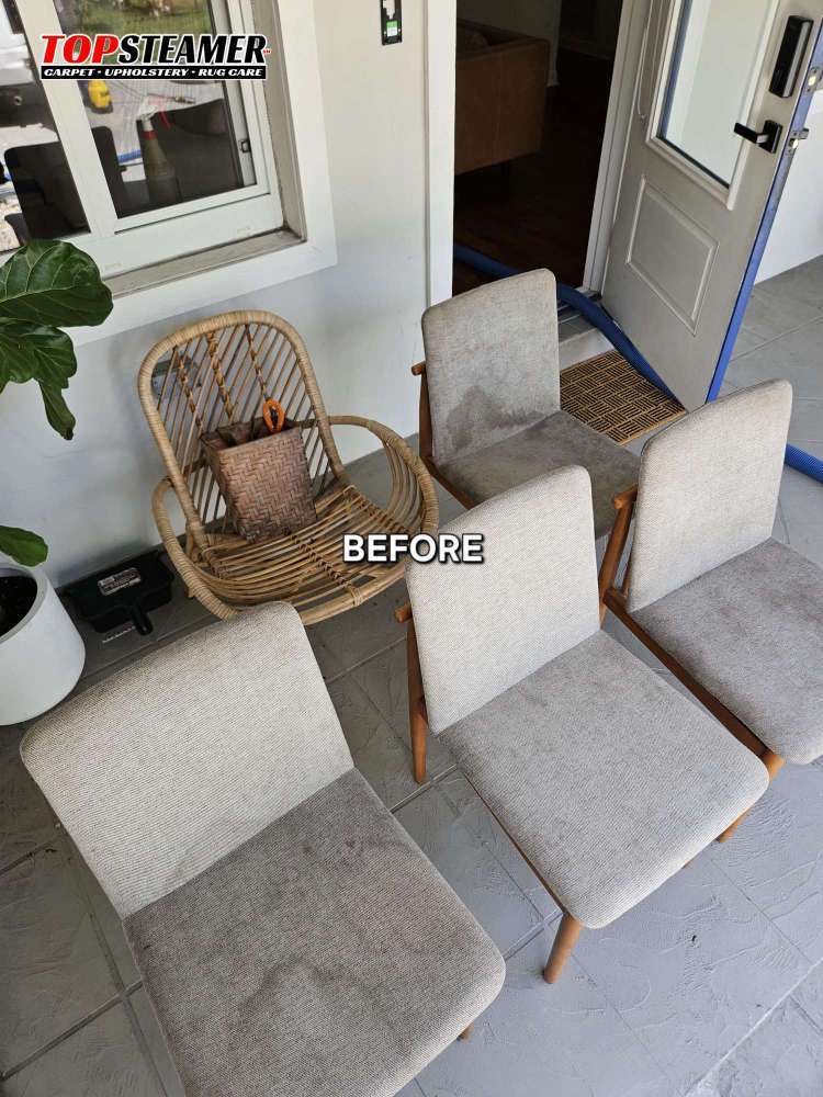 Upholstery Cleaning in Doral FL