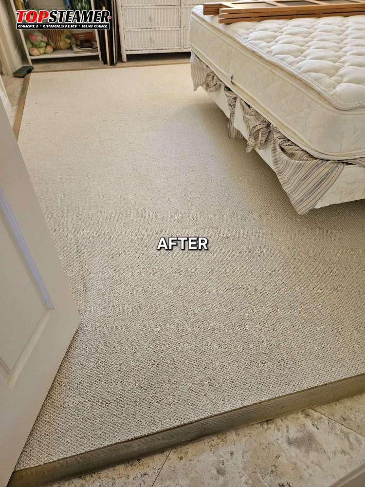 Rug cleaner coral gables