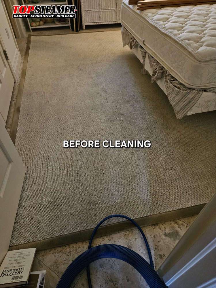 Area rug cleaning Coral Gables