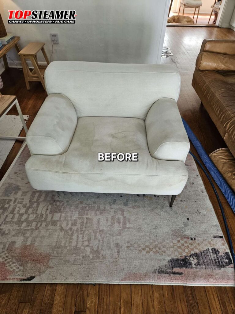 Chair Cleaning in Biscayne Park, FL by Top Steamer
