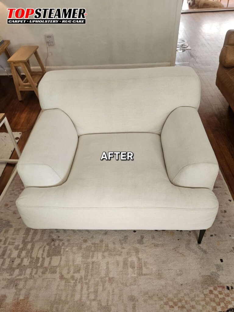 Chair Cleaning in Biscayne Park, FL by Top Steamer