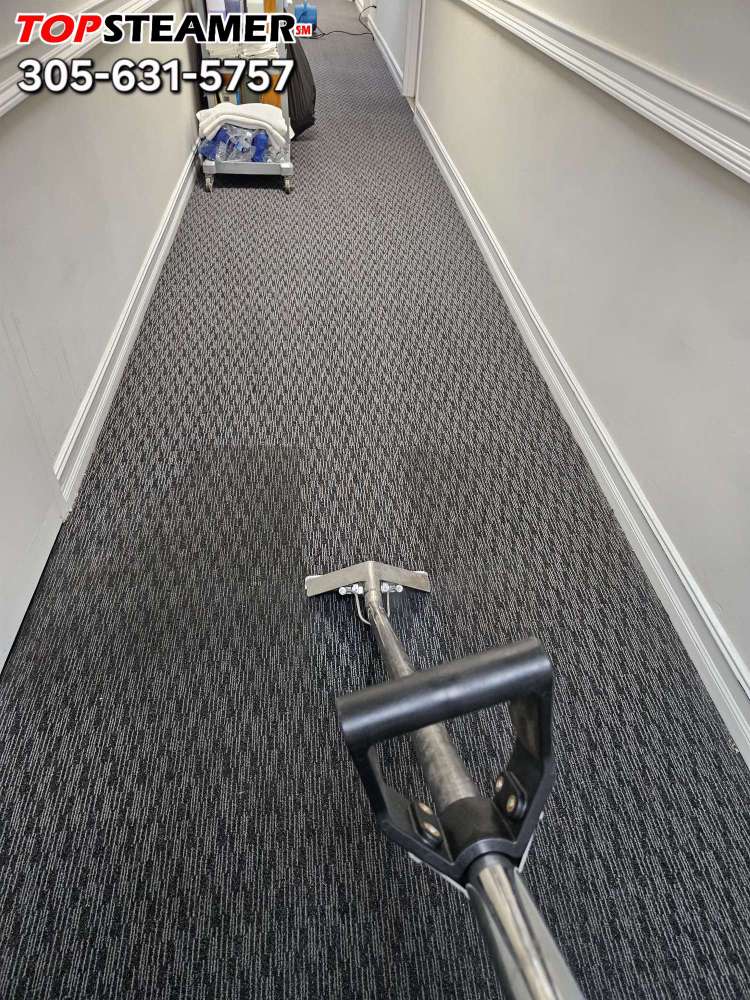 Commercial carpet cleaning in a Miami office hallway by Top Steamer